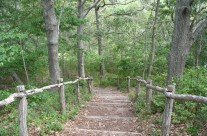 Mashomack Hiking Trail