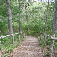 Mashomack Hiking Trail